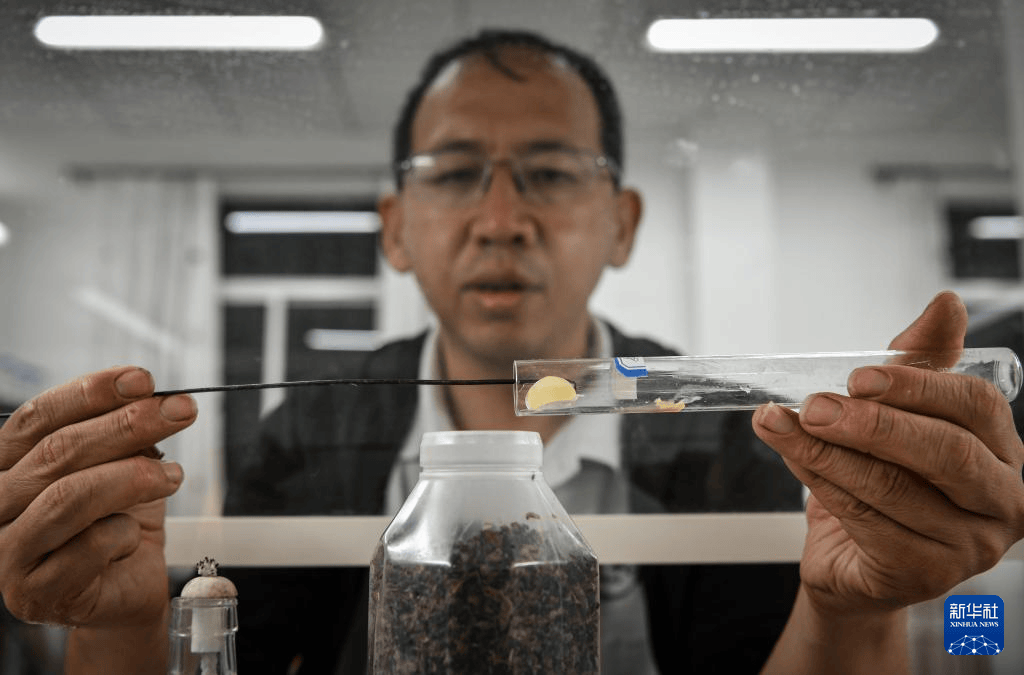 中国人的故事：中国援卢旺达农业技术示范中心的中国专家
