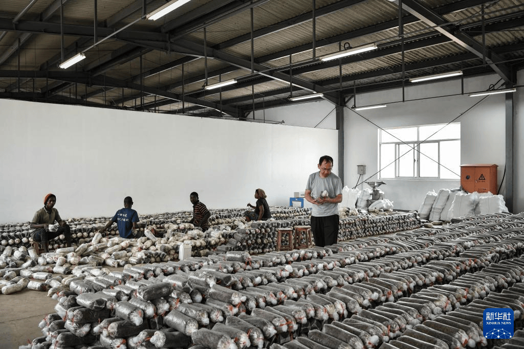 中国人的故事：中国援卢旺达农业技术示范中心的中国专家